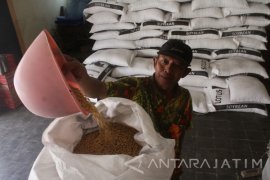 Pemkab Ngawi Dukung Swasembada Kedelai Nasional