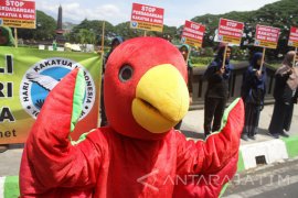 Profauna Temukan 38 Jenis Burung Langka