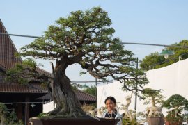 PPBI Ponorogo Tumbuhkan Ekonomi Kreatif Lewat Pameran Bonsai