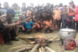 Kopi Panggang Pagaran, Cita Rasa Daun Kopi