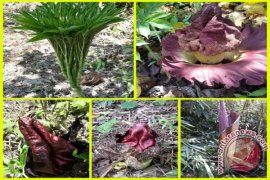 Cak Nur: Wisata Religi Pantura Simpan Potensi Peningkatan Ekonomi