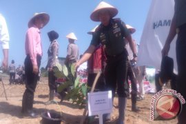 Korem Mengintensifkan Pengawasan Reklamsi Lahan Tambang Timah