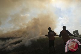 Kebakaran Lahan Di Pulau Negara Page 3 Small