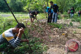 KT Gorontalo Tanam 650 Bibit Pohon 