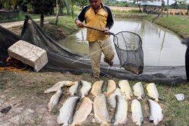 Singkawang dorong faskes urus perizinan pengolahan limbah