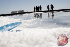 Articel - NTT wants to become national salt production center