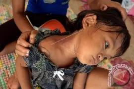 Pengungsi Terserang Tomcat