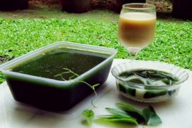 Peneliti IPB Racik Formula Minuman Cincau Hijau Bagi Wanita Dewasa Penderita Hipertensi