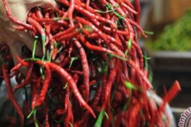 BPS Klaim Bahan Makanan Sebabkan Inflasi 0,24 Persen Di Riau