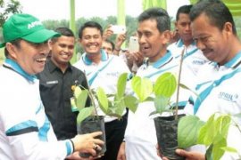 Kementerian Pertanian Berikan Bantuan Bibit Cabai Untuk Pemkab Siak