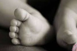 Tak Punya Biaya, Bayi Kulit Melepuh Terpaksa Dirawat Di Rumah