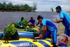 Komunitas-Pelajar Tanam Mangrove Di Muara Kungkai Seluma