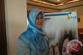 PLN Babel pasang jaringan di Hutan Pelawan