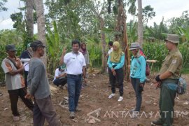 Program Mitigasi Berbasis Lahan yang Dilaksanakan Unej Dikunjungi Tim ICCTF 