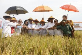 Kota Terpadu Mandiri Mesuji Lampung Salah Satu Terbaik Di Indonesia