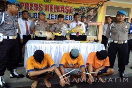 Polres Jember Tangkap Mahasiswa Pengguna-Pengedar Satu Kilogram Ganja