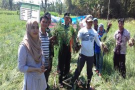 Produksi Bawang Merah di  Probolinggo  Capai 60.399 Ton