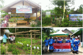 Peneliti IPB Kembangkan TOGA Jadi Primadona Urban Farming Desa Karya Mulia