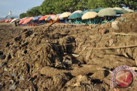 MENGATASI SAMPAH PANTAI PADANG Page 4 Small