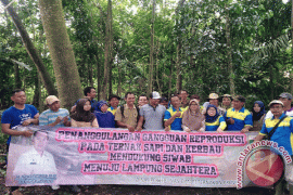 Mahasiswa STPP Bogor Dampingi Peternak Lampung Selatan