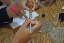 Begini Sifat Bakteri Patogen Dan Pengendaliannya