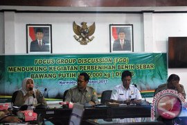 BPTP NTB Siapkan Teknologi Budi Daya Bawang Putih