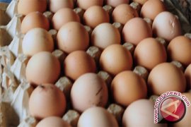 Warga Gorontalo Utara Apresiasi Harga Telur Ayam Turun