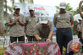 Pertamina-YSLI selamatkan Tuntong Laut