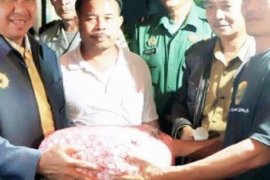 Bupati Inhil Terus Pantau Korban Banjir Di Desa Mumpa