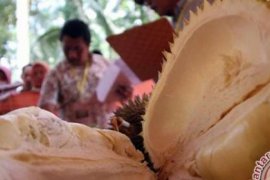 Ini Penyebab Bau Tajam Dari Durian Menurut Ilmuan
