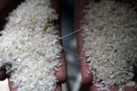 Wow... Harga Beras Ini Mencapai Rp1,47 juta/Kg