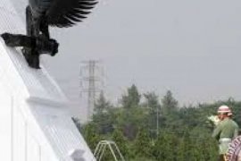  Menanti Sang Patriot di Balik Gelar Pahlawan