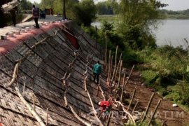 Perbaikan Tanggul Bengawan Solo Kanor Bojonegoro Bersifat Darurat