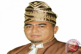 S Kalimantan surplus 30 percent electricity