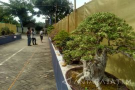 "Art. Culture And Tourism Festival" Gelar Pameran (Video)