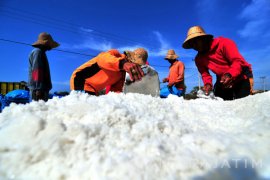 Pemprov Jatim Bantu Usaha Produksi Garam di Bangkalan