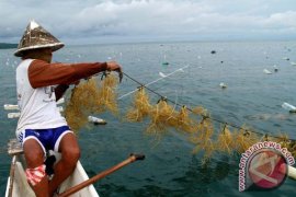 TARGET PRODUKSI RUMPUT LAUT Page 1 Small