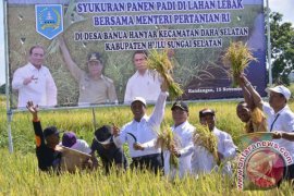 Ministry projects S Kalimantan as food barn outside Java