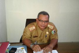 Tak Ada Korban Puting Beliung Lampung Timur 