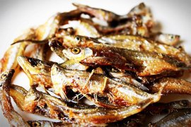 Konsumsi ikan penting untuk dukung tumbuh kembang anak