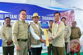 Pusri buat lahan percontohan dampingi petani kopi