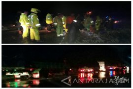 Akibat Pohon Tumbang, Jalur Pantura Situbondo Macet Hingga Dua Jam