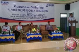 Kabupaten Tubaba Jadi "Pilot Project" Kerjasama BRI-BUMDes