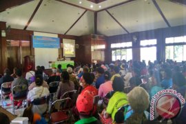 Disnak Mimika latih peternak babi penerima bantuan 