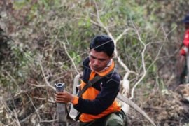 Mahalnya Menjaga Hutan Indonesia