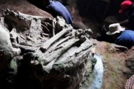 Penemuan Tengkorak Manusia Hebohkan Warga Siak