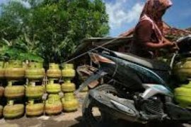 Si Melon Mendadak Jadi Primadona