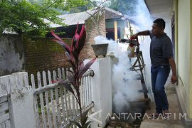 148 Kasus DBD, Jember Belum KLB