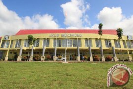 Realisasi fisik ruang terbuka hijau Mukomuko capai 46 persen