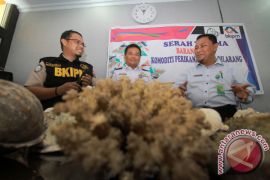 SKIPM Menyerahkan Barang Bukti Komoditi Perikanan 